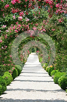 Rose Garden Landscape