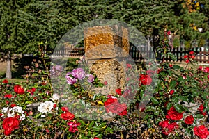 Rose garden near church on the french mountain city. Countryside landscape near a famous french resort Auron, Europe