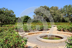 Rose garden, Park Ramat Hanadiv, Israel photo