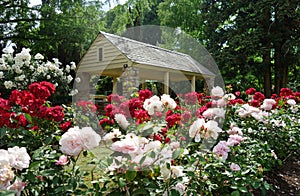 The Rose Garden in Raleigh North Carolina photo