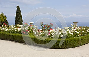Rose garden on sea shore