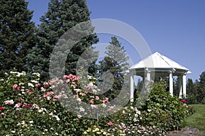 Rose garden Spokane