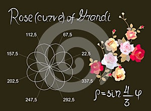 Rose of Guido Grandi is beautiful mathematical curve. Educational card in vector photo