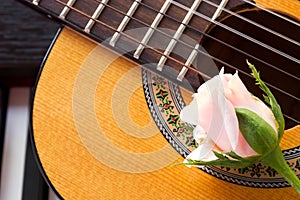 Rose on guitar with piano key.