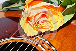 Rose on the guitar strings, symbols