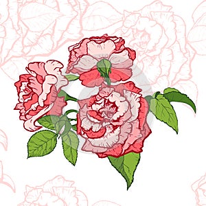 Rose hand drawn illustration