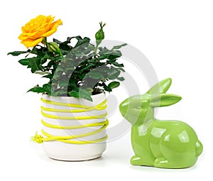 Rose and hare on a white background