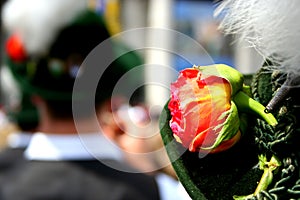 Rose at a musician`s hat. photo