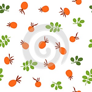 Rose hip berries seamless pattern. Autumn orange berries, branches and leaves on the white repeat background. Vector