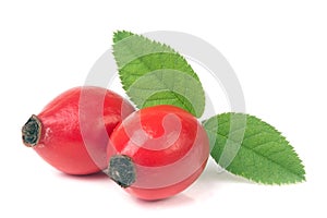 Rose hip berry with leaf isolated on white background