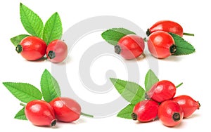 rose hip berry with leaf isolated on white background. Set or co