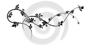 rose hip element on white background for sale new