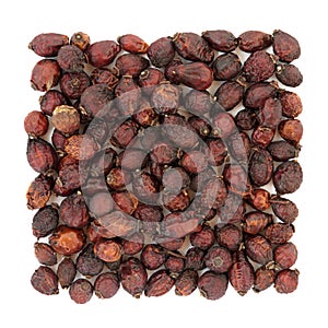 Rose Hip Herbal Medicine