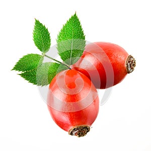 Rose hip isolated on a white.