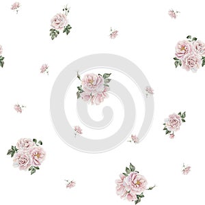 Rose hip pink flowers with buds and green leaves, Victorian style, watercolor seamless pattern on white background.