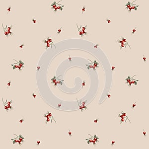 Rose hip red berries, watercolor seamless minimalistic floral pattern on beige background