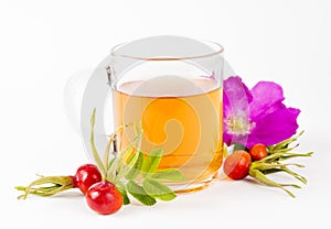 Rose hip or rosehip, also called rose haw and rose hep tea in clear glass cup.
