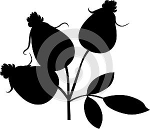 Rose Hip Silhoulette - Black Vector Illustration