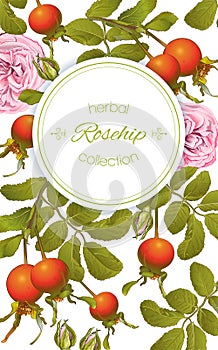 Rose hip vertical banner