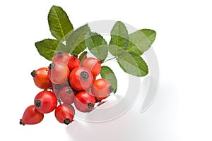 Rose hips