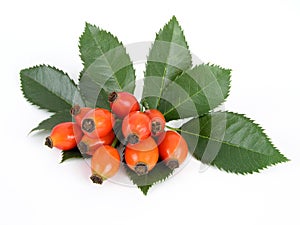 Rose hips