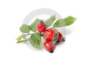 Rose hips