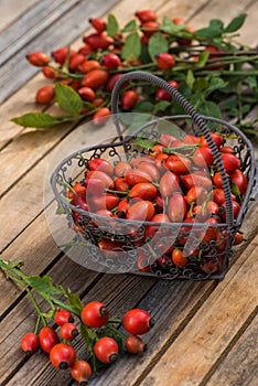 Rose hips