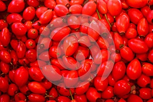 Rose hips on a black background. Bio fresh fruits with vitamin C.