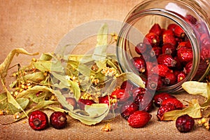 Rose hips and dry linden blossom