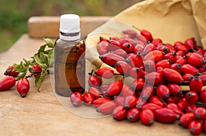 Rose-hips and rose hip seed oil on the wooden table. Rose hip  commonly known as rose hip Rosa canina.