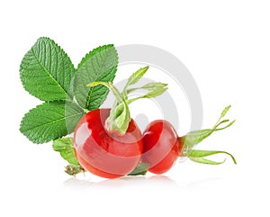 Rose hips isolated on white