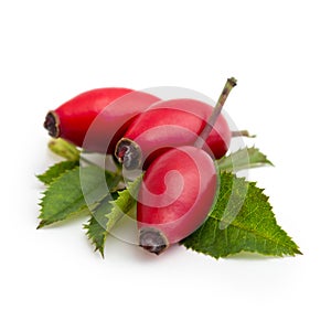 Rose hips isolated on a white background