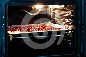 Rose hips latin name Fructus cynosbati are drying in oven. Dried rose hips are important source of vitamins in alternative photo