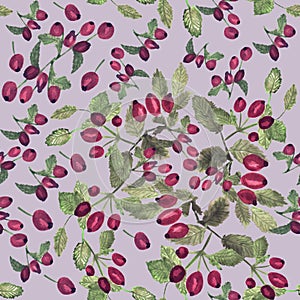 Rose hips with leaves on a pale background