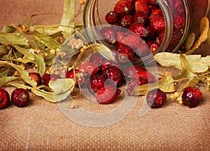 Rose hips and linden blossom photo