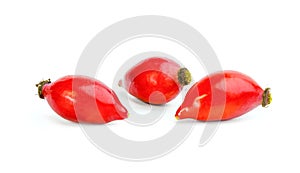 Rose hips (rosa canina) isolated on white background