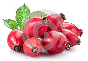 Rose-hips with rose leaves isolated on a white background