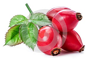 Rose-hips with rose leaves isolated on a white background