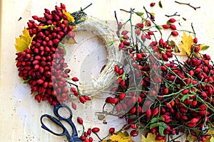 Rose hips and scissors on wooden background