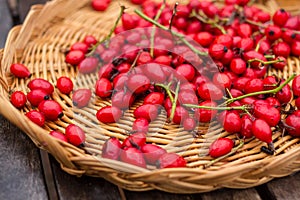 Rose hips seeds