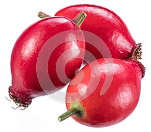 Rose-hips or wild rose berries isolated on a white background