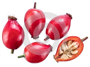 Rose-hips or wild rose berries isolated on a white background