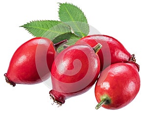 Rose-hips or wild rose berries isolated on a white background