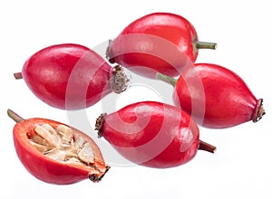 Rose-hips or wild rose berries isolated on a white background