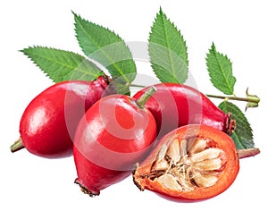 Rose-hips or wild rose berries isolated on a white background