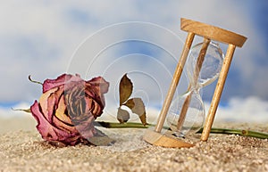 Rose and Hourglass on Beach