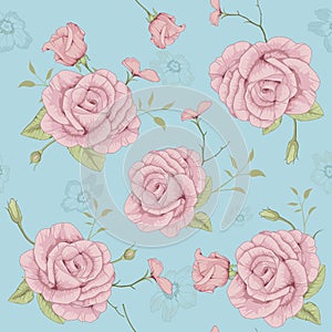Rose illustration seamless pattern