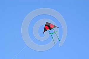 Rose Kite