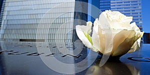 Rose left at 9/11 memorial