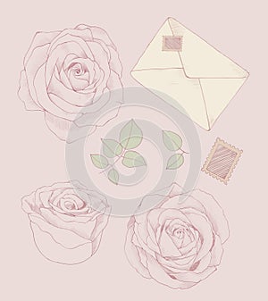 Rose Letter